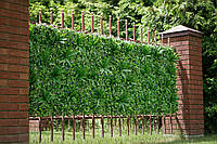 Зеленый забор Фитостена 100x100см
