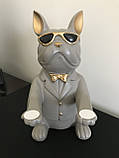 Інтер'єрна фігурка бульдог, Підставка для прикрас, статуетка собака керамічна, фото 6