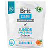 Brit Care GF Junior Large Breed Salmon and Potato - беззерновий корм з лососем для великих порід 3 кг, фото 3