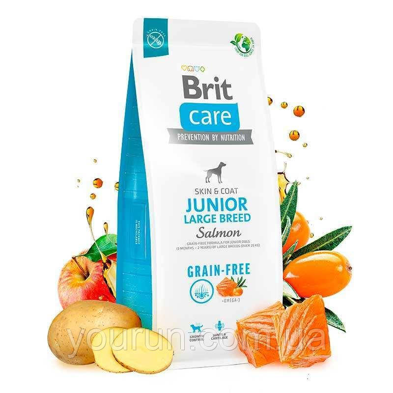 Brit Care GF Junior Large Breed Salmon and Potato - беззерновий корм з лососем для великих порід 1 кг