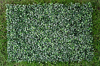 Декоративное зеленое покритые "Самшит" 60x40см, высота 4см