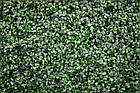 Декоративне зелене покриття "Самшит" 60x40см, висота 4см, фото 2