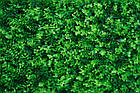 Декоративне зелене покриття "Евкаліпт" 60x40см, висота 6см, фото 2