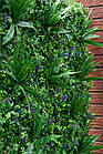 Декоративне зелене покриття "Фітостіна" 100x100см, висота 12см, фото 3