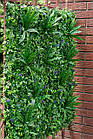Декоративне зелене покриття "Фітостіна" 100x100см, висота 12см, фото 4