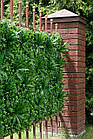 Декоративне зелене покриття "Фітостіна" 100x100см, висота 12см, фото 6