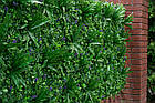Декоративне зелене покриття "Фітостіна" 100x100см, висота 12см, фото 7