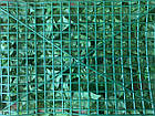Зелений паркан із фітомодулів 60x40см, фото 5