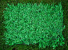 Декоративне зелене огородження фітомодулі 60x40см, фото 3