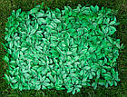 Декоративне зелене огородження фітомодулі 60x40см, фото 5