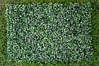 Зелена фотозона, фотофон із фітомодулів 60х40см, фото 5