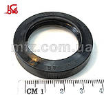 Сальник 32х45х8/1 206625 на вал з роликом Балканкар ЕВ687