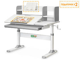 Регулируемый Детский письменный стол парта Ergokids TH-330 Grey (арт. TH-330 W/G)
