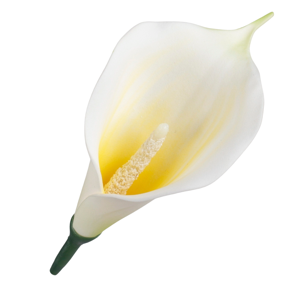 kalla_piankowa_mini_0b24___otoroom.png_photoroom.png