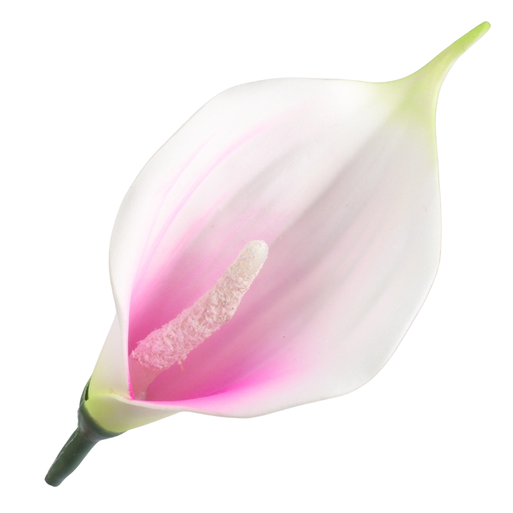 kalla_piankowa_mini_05c0___otoroom.png_photoroom.png
