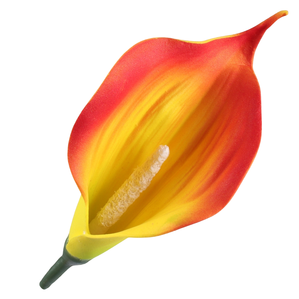 kalla_piankowa_mini_eb58___otoroom.png_photoroom.png