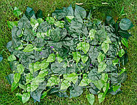 Декоративное зеленое покритые "Листья" 60x40см, высота 4см