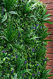 Садовий декор фітостіна 100x100см, фото 7