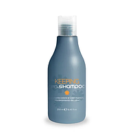 Шампунь для окрашенных волос Pro.Color Keeping Shampoo 250 мл (21291Ab)