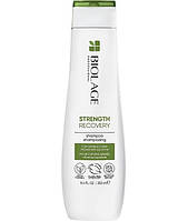 Шампунь для укрепления поврежденных волос Matrix Biolage Strength Recovery 250 мл (21861Ab)