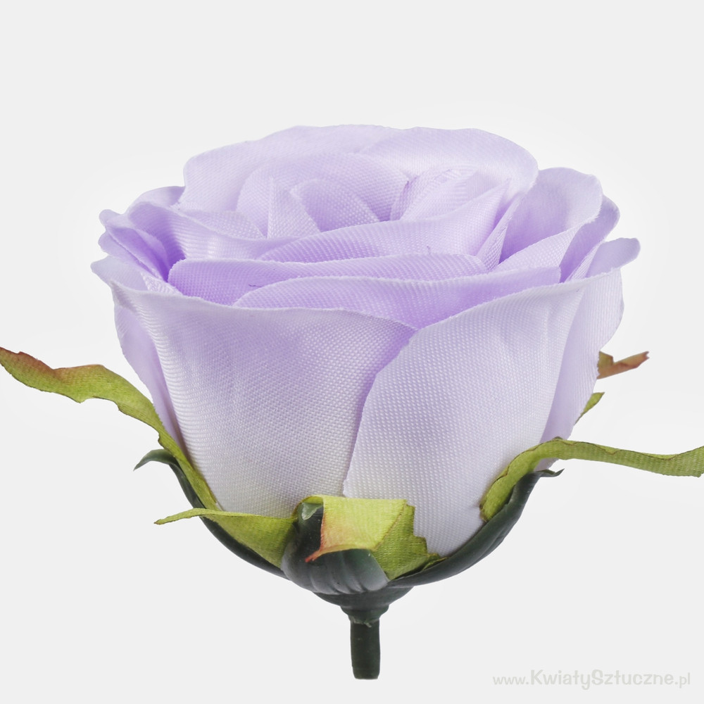 roza_w_paku_d86a_1000x1000.jpg