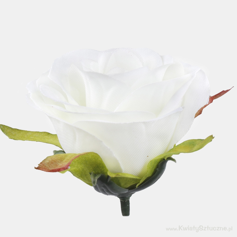 roza_w_paku_f4f8_1000x1000.jpg