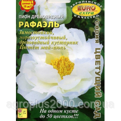 Насіння Півон Деревоподібний Рафаель 0,75 грама Аеліта, фото 1