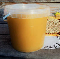 Натуральный домашний мед из подсолнечника и разнотравья 3л
