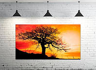 Картина на холсте на стену для интерьера/спальни/офиса DK Одинокое дерево 50х100 см (DKP50100-p108)