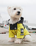 Дощовик для собак TheDogFace, фото 4