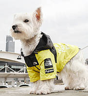 Дождевик для собак TheDogFace