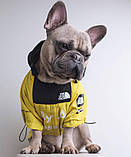 Дощовик для собак TheDogFace, фото 9
