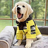 Дощовик для собак TheDogFace, фото 8