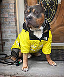 Дощовик для собак TheDogFace, фото 10