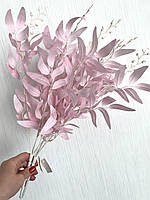 Куст декоративного рускуса ( розовый 50 см )