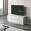 Тумба під телевізор VAYS, для вітальні, сучасна, 2 висувних ящика та дві двері, без ручок R-28, фото 2