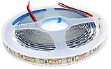 Світлодіодна стрічка 12V 2835 (120LED/м) IP20, фото 2