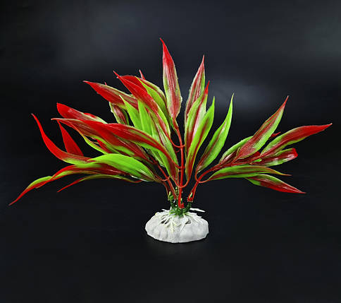 Рослина штучна, Cryptocoryne, червоно-зелена, 10 см. Декоративні пластикові рослини., фото 1