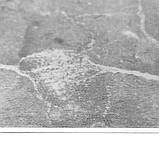 Настінна ПВХ плита металік мармур 600х600х3мм, фото 4