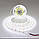 Світлодіодна LED стрічка 5m, на діодах 2835 SMD White 120led/m, 12V IP20, фото 4