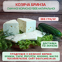 Брынза козья фермерская