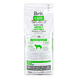 Сухий корм Brit Care для дорослих собак великих порід GF Adult Large Breed Salmon & Potato 12кг, фото 3
