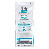 Сухий корм Brit Care для дорослих собак малих та середніх порід GF Adult Salmon & Potato 12кг, фото 2