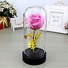 Троянда у колбі з LED підсвічуванням 15,5х5,5 см, A54 Рожева / Вічна троянда у скляній колбі, фото 3