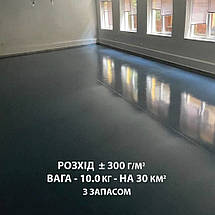 Епоксидна підлога 10 кг на 30 м2 графіт, фото 3