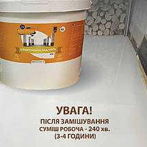 Епоксидна підлога 10 кг на 30 м2 світло-сіра, фото 2