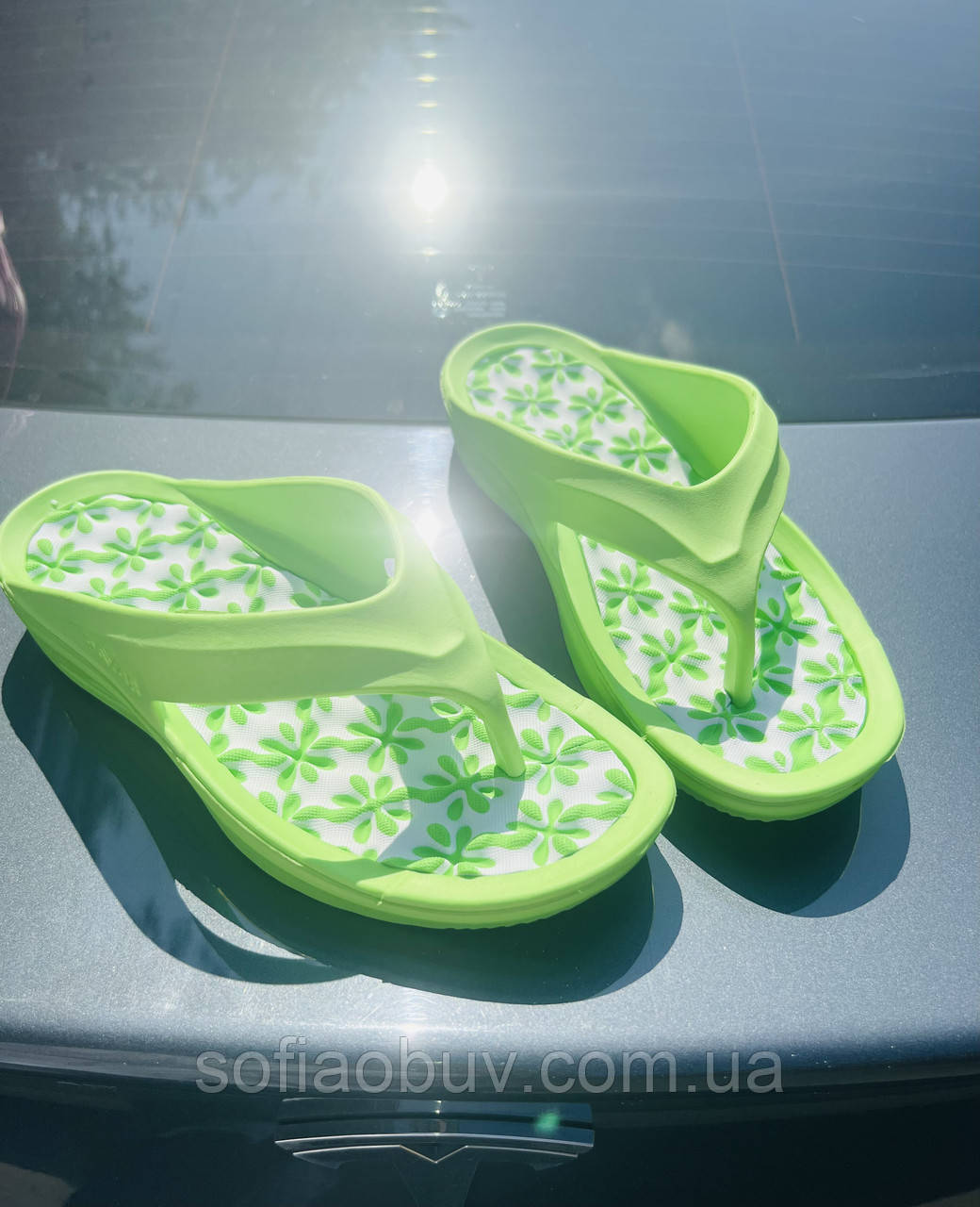 В'єтнамки жіночі Payas