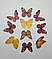 Вафельні метелики "Мікс 10 шт", фото 7