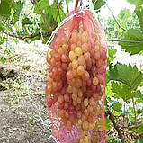Мішок-сітка на виноград 5 кг 28х40 см, фото 8