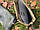 Чоловічі гумові чоботи з надставкою МИСЛИВЕЦЬ 41, фото 6